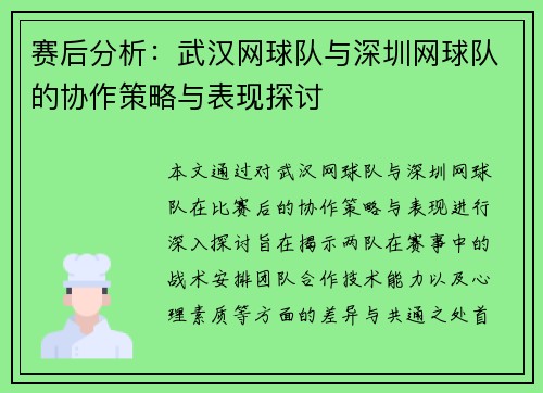 赛后分析：武汉网球队与深圳网球队的协作策略与表现探讨